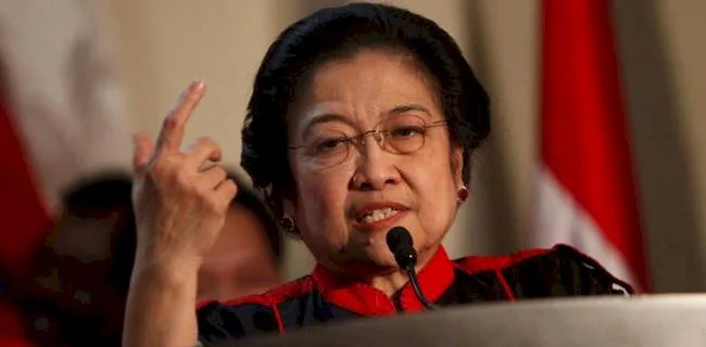 Direktur Eksekutif IPO : Kritik Megawati Tepat Jika Yang Disasar Stafsus Milenial Jokowi