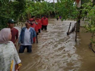 Banjir Kembali Melanda, Ini Tips Mengantisipasinya