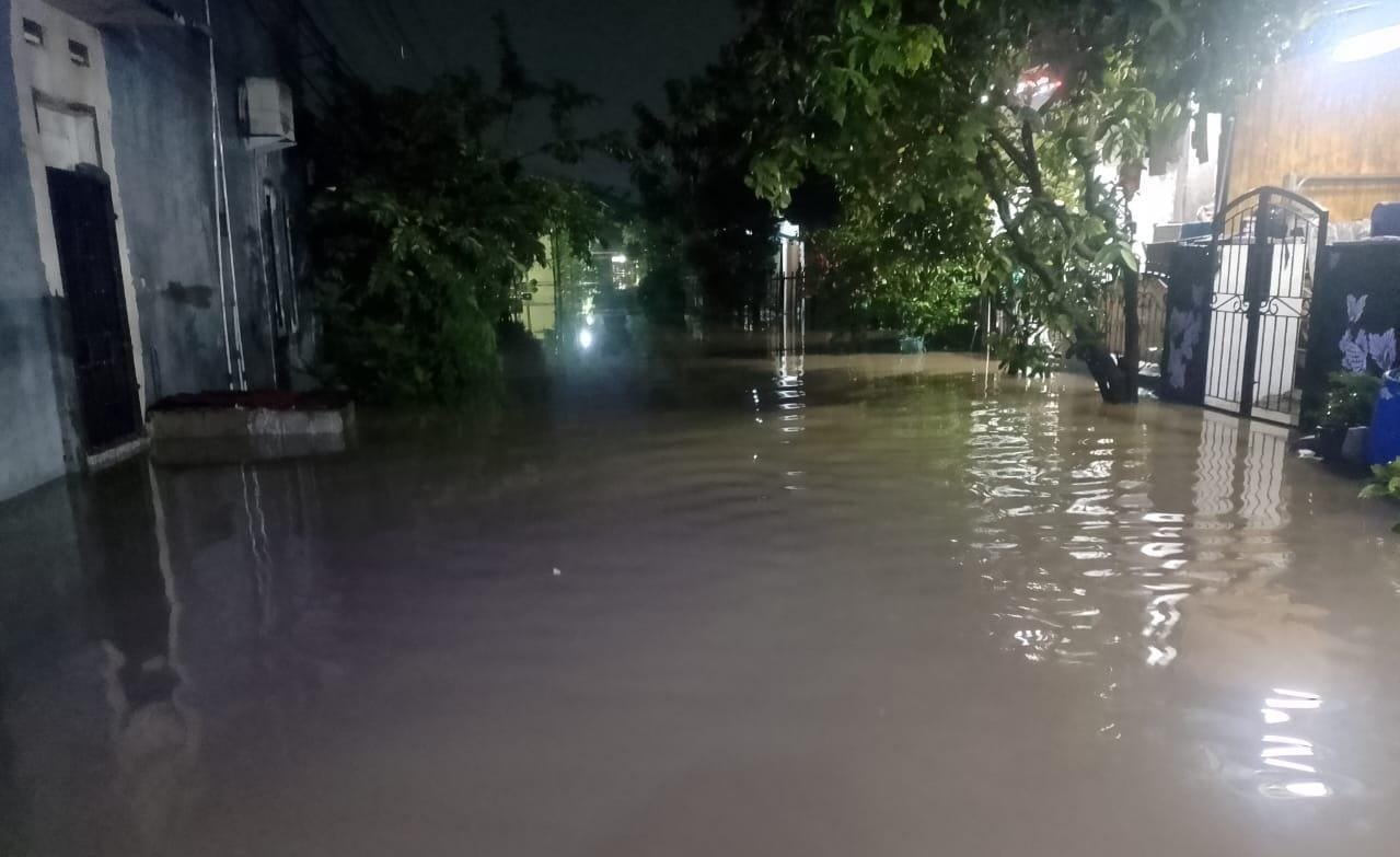 Pembangunan Berbasis Ekologi: Solusi Efektif untuk Mencegah Banjir di Perkotaan